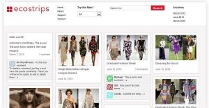 Pinterest Style WordPress Themes ecoStrips
