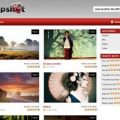 Pinterest-Style-WordPress-Themes-snapshot