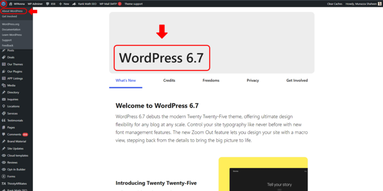 check WordPress Version