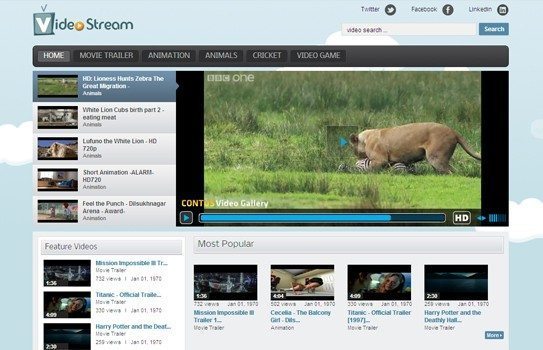 wordpress-video-gallery