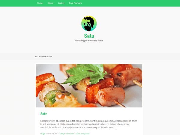 satu wordpress theme