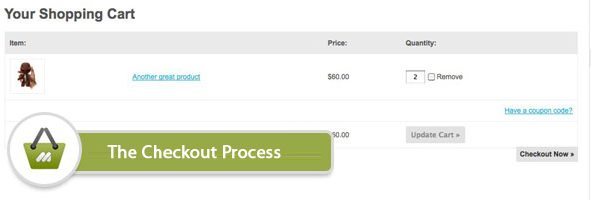 The-Checkout-Process
