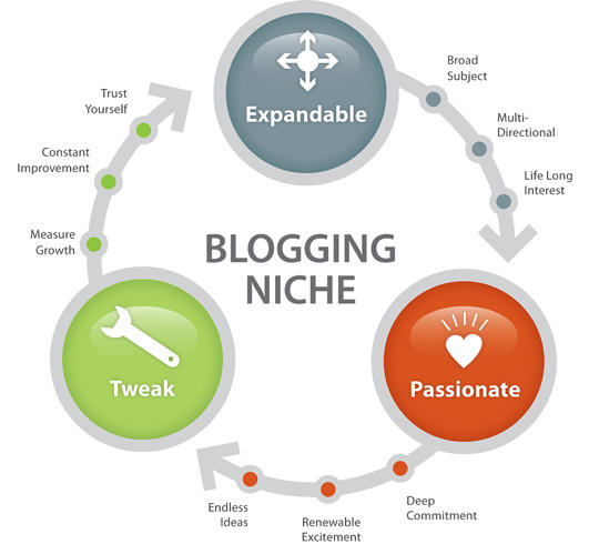 blogging niche