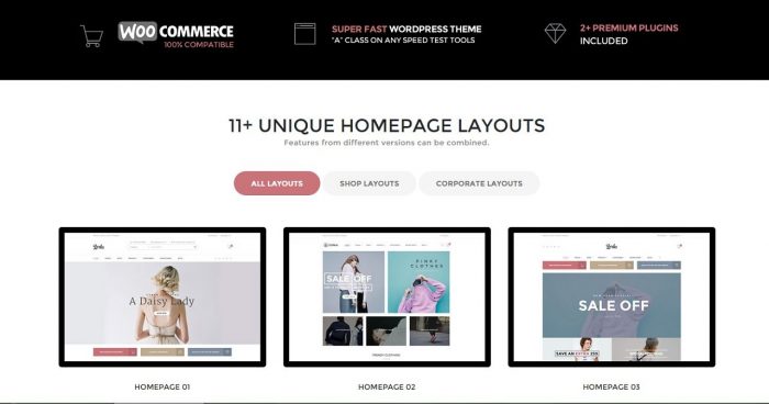 The Best WordPress WooCommerce Themes - ZORKA