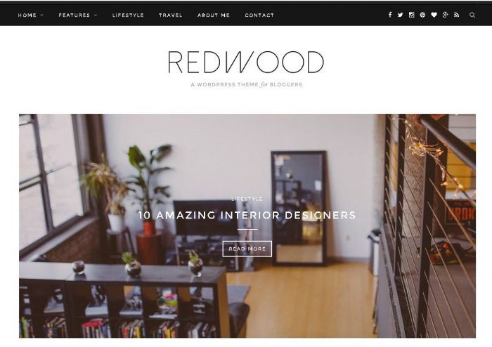 Redwood - one of best WordPress Blog Themes