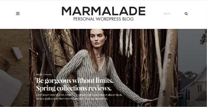 The Marmalade - Personal WordPress Blog Theme