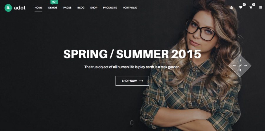 ecommerce wordpress themes adot