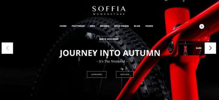 WordPress Business Theme with e-Commerce - Soffia