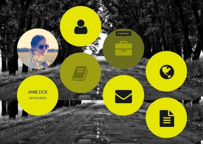 Free WordPress Resume Themes for Freelancer vCard [year]