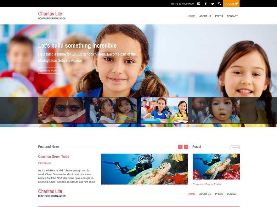 Charitas Lite- Free charity WordPress theme