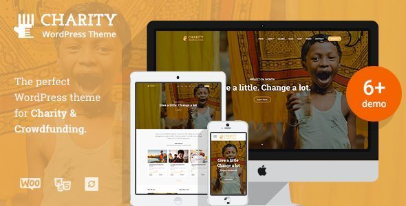 charity wordpress theme