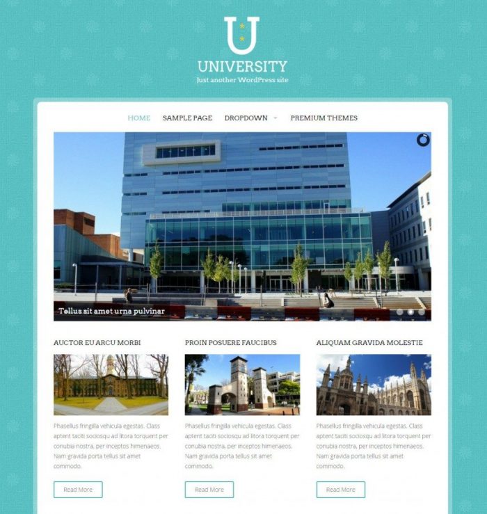 One of Good free Education WordPress Themes - University