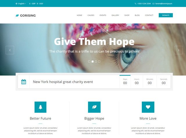 GoRising - Great Non-Profit WordPress Theme