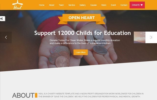 A Best WordPress Charity Theme - Heal