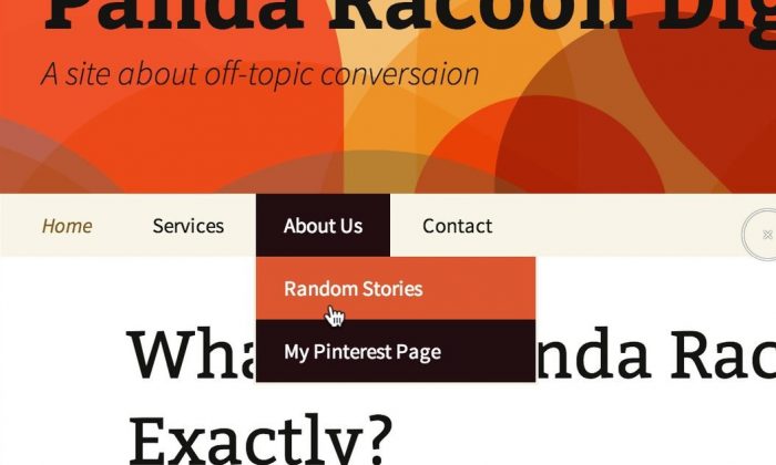 How to Display Specific Pages/Links in WordPress Navigation Menu