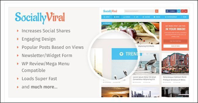 Socially Viral Theme