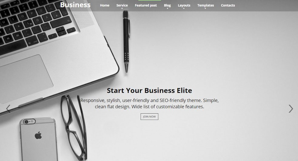 Business Elite Theme