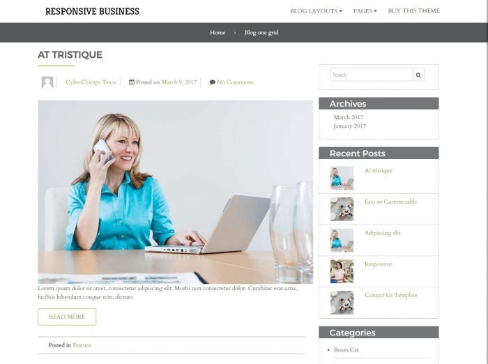 Responsive Business Theme Review 9 Responsive Business Theme Blog One Grid