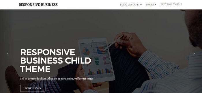 Responsive Business Theme Review 6 Responsive Business Theme