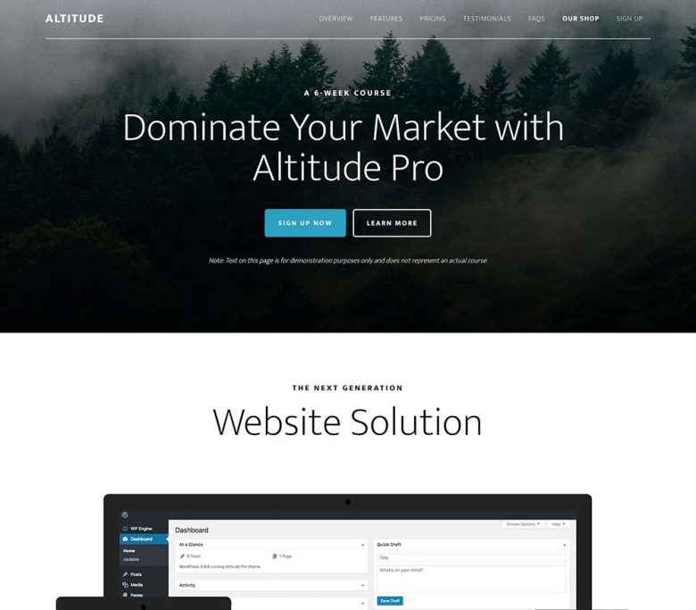 Altitude Pro Genesis child theme screenshot