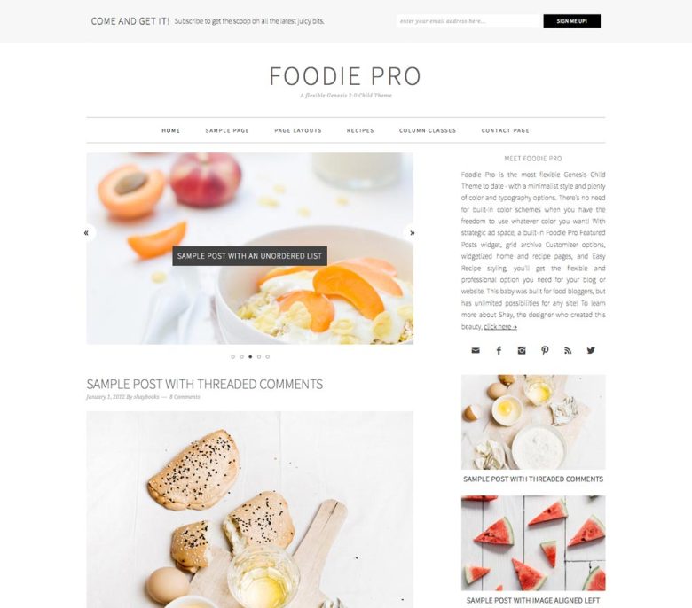 Foodie Pro Genesis child theme screenshot