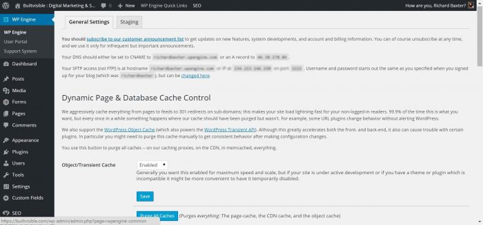 WordPress Hosting 21 WPEngine Dashboard in WordPress