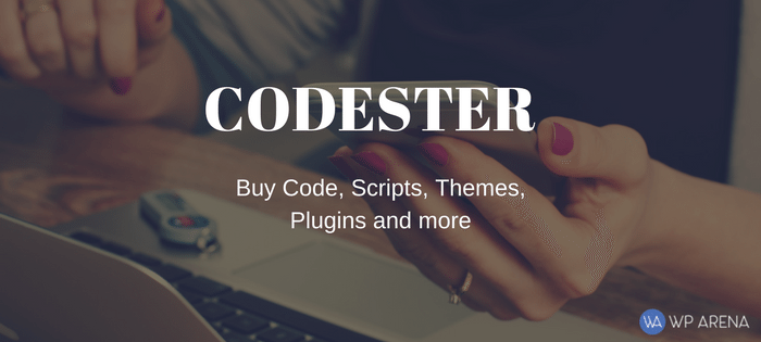 Codester Review