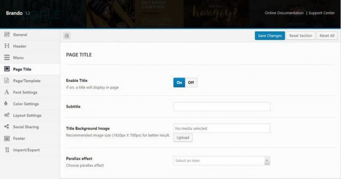 Page Title Options in Brando Theme