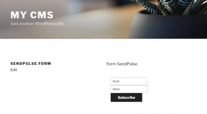 SendPulse Subscription Form