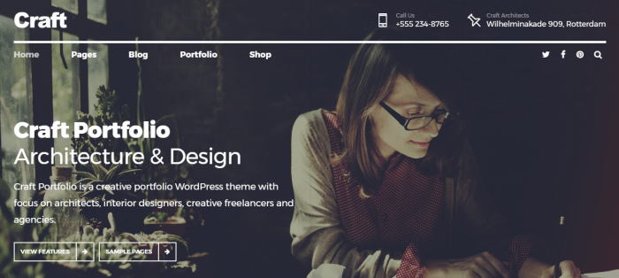 craft portfolio wordpress theme