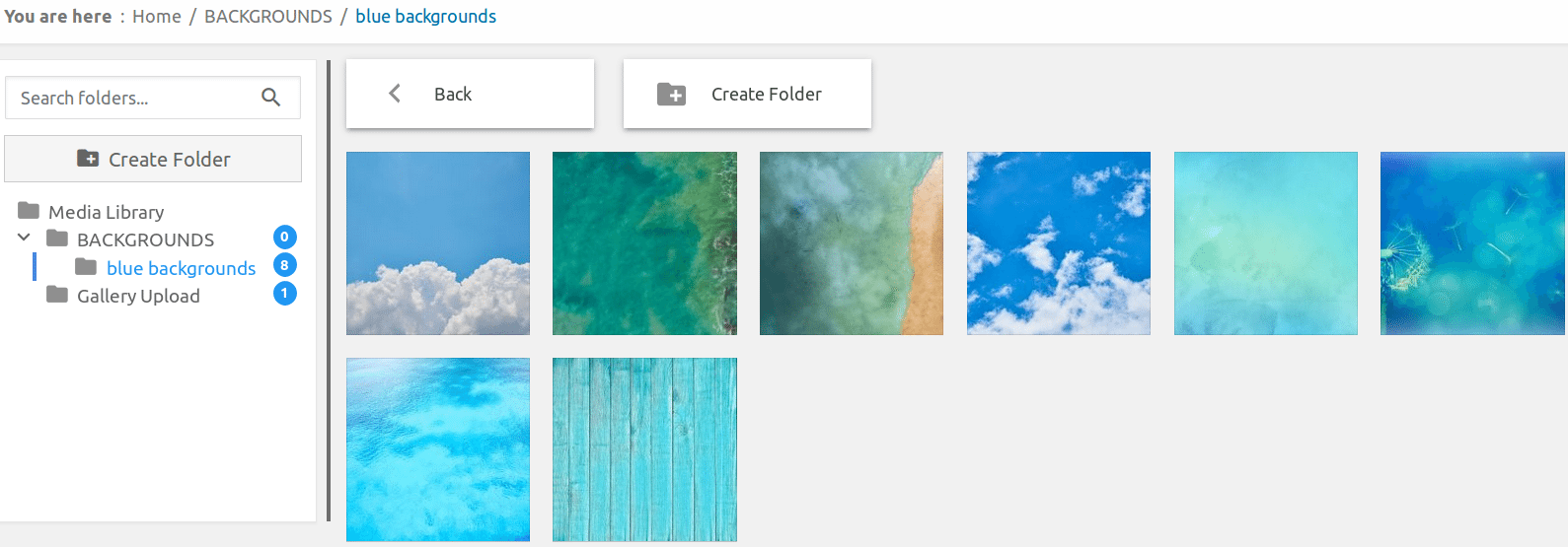 WP Media Folder Review A Powerful WordPress Media Organizer?