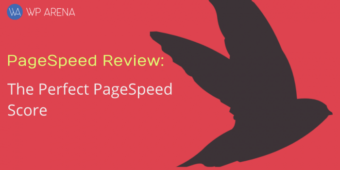 PageSpeed Review