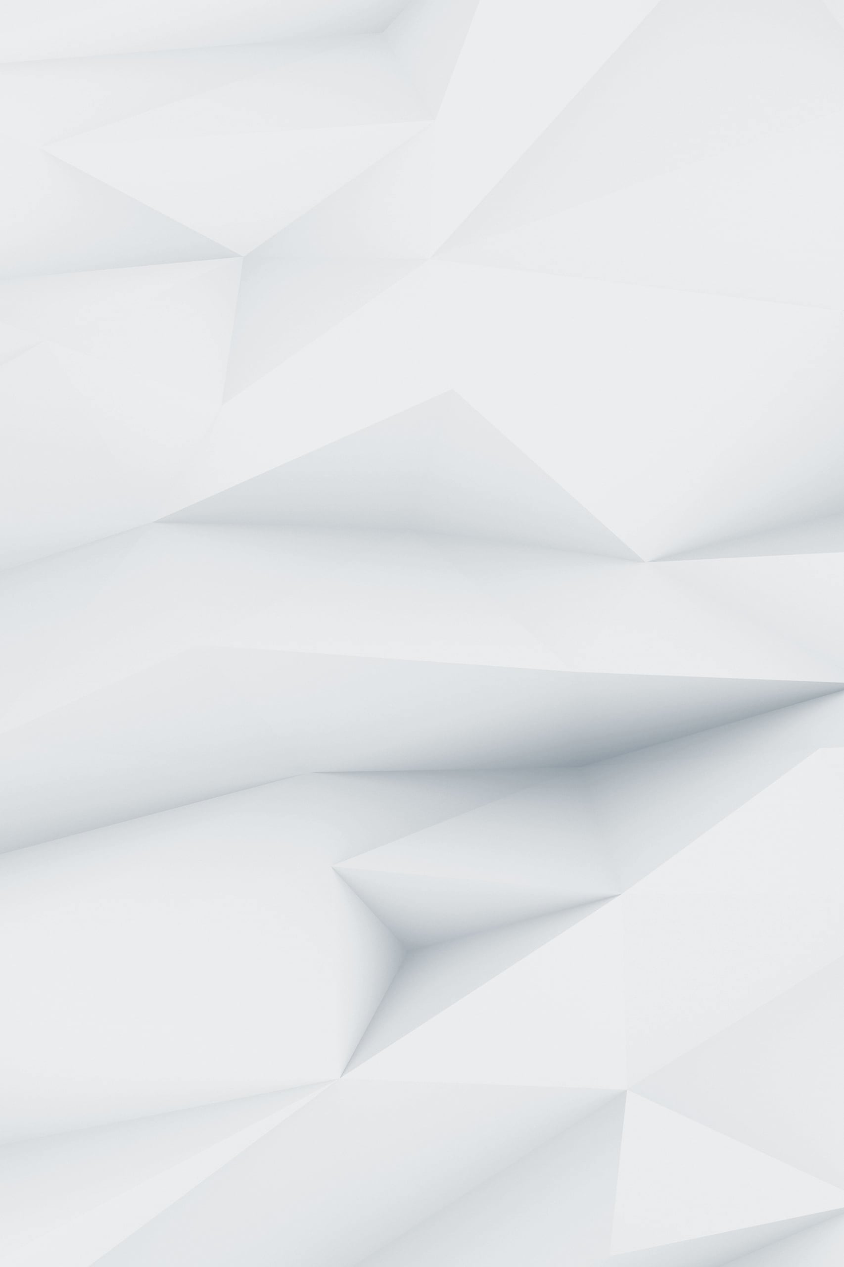 demo-image-00004