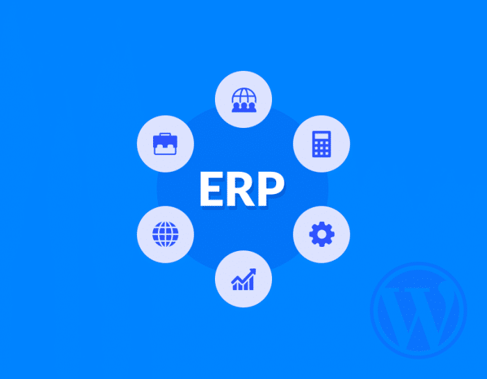Revisión de WP ERP