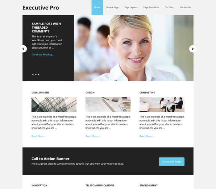 executive pro theme