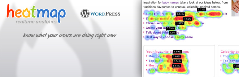 heatmap wordpress