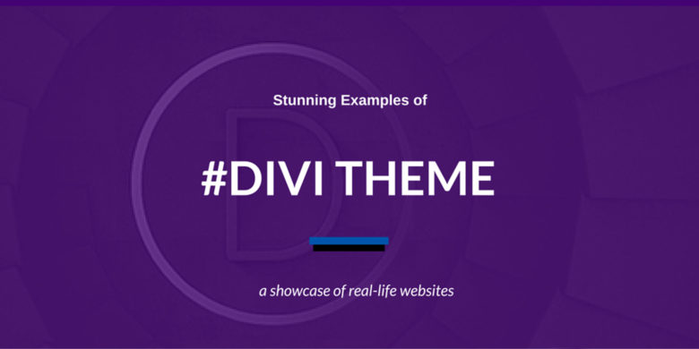 Divi theme for programmers